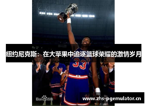 纽约尼克斯：在大苹果中追逐篮球荣耀的激情岁月